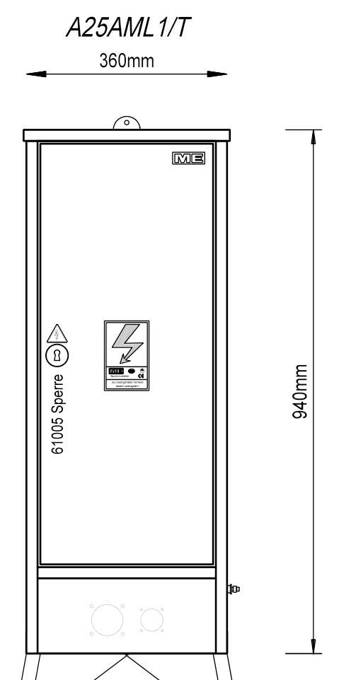 A25AML1/T