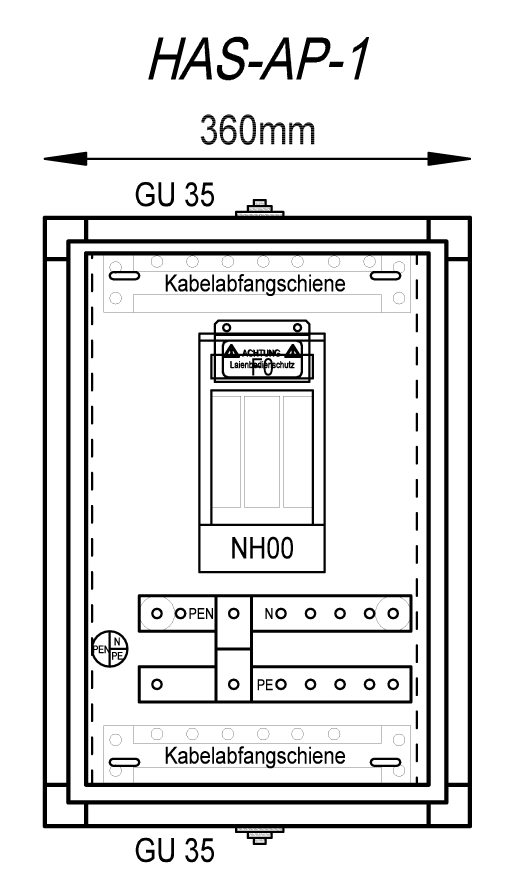 HAS-AP-1