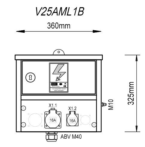 V25AML1B